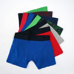 Boy Boxer-Export